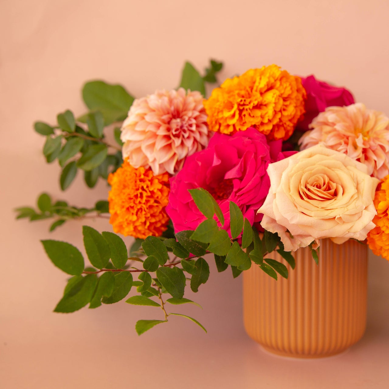 Fern & Flora